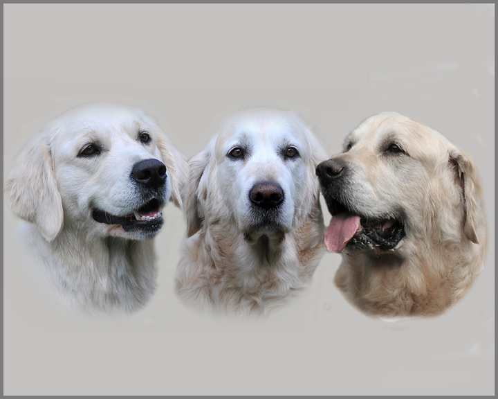 DSC_4943 - Copy - Copy - Copy (2) - Copy