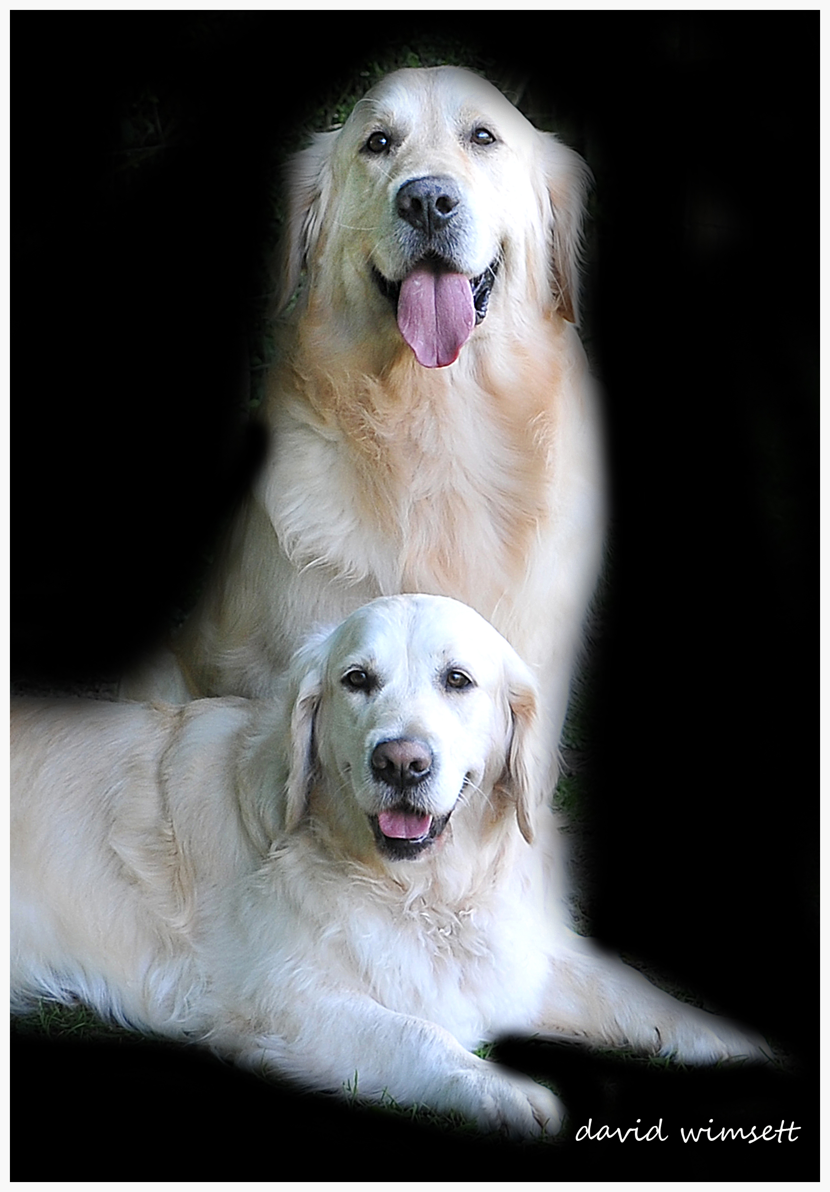 Jacob & Hannah from David Wimsett - Copy