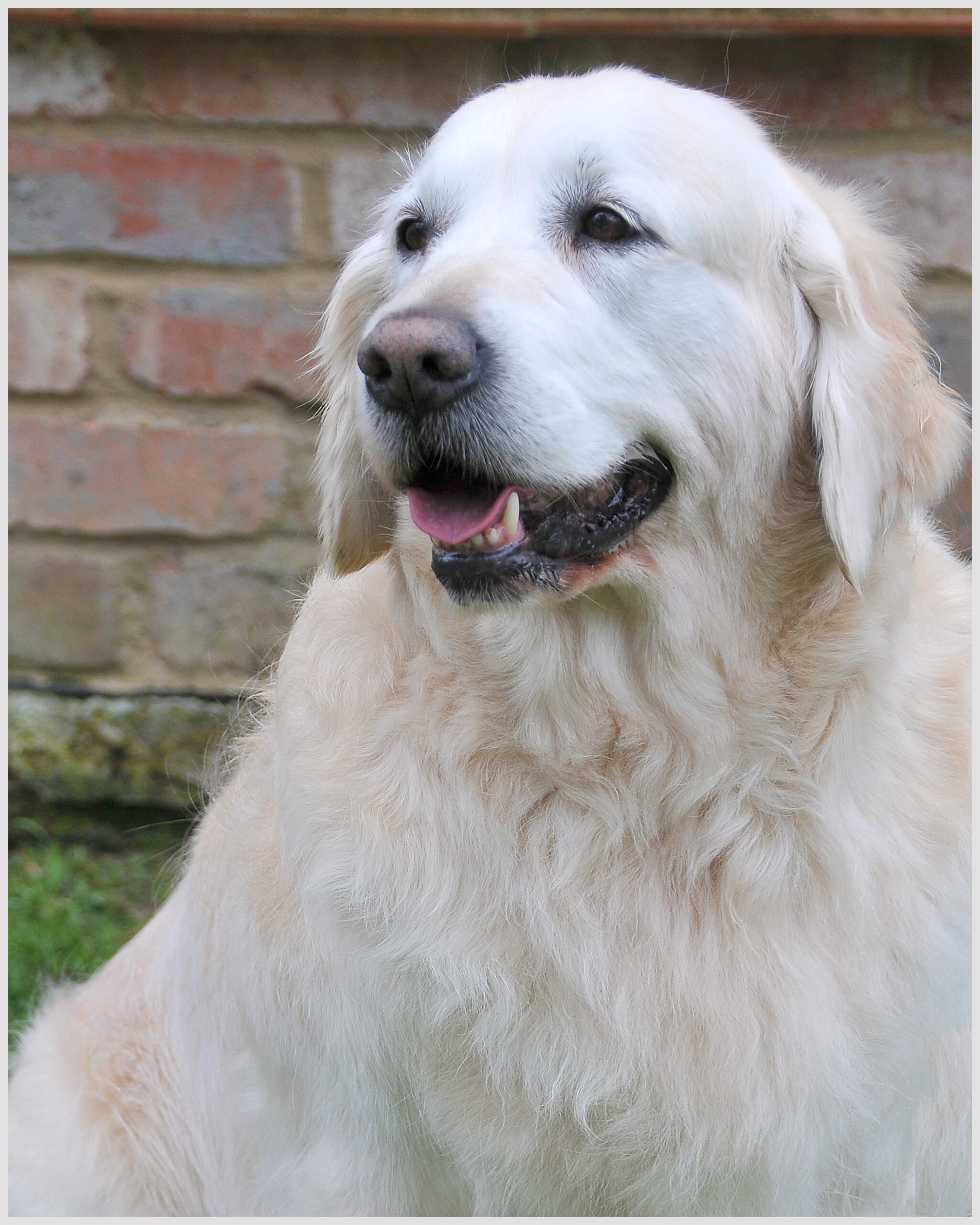 DSC_4834 - Copy - Copy