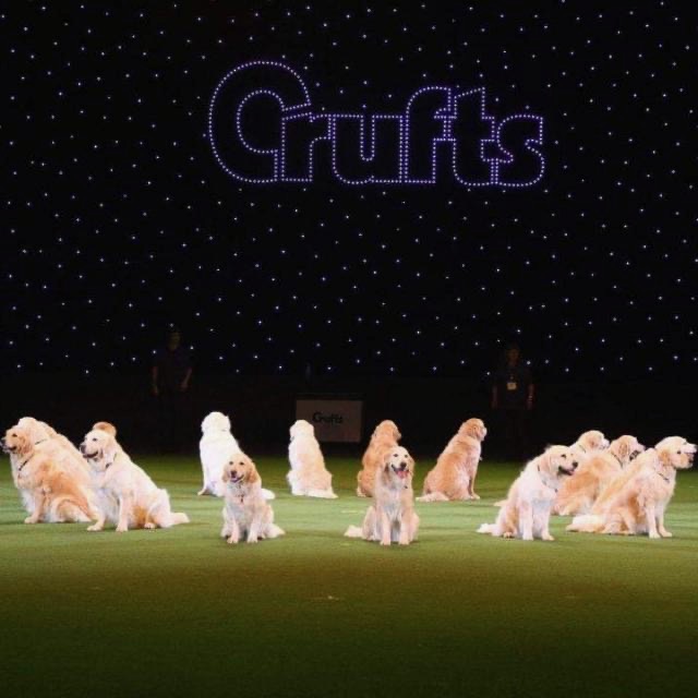 crufts extend