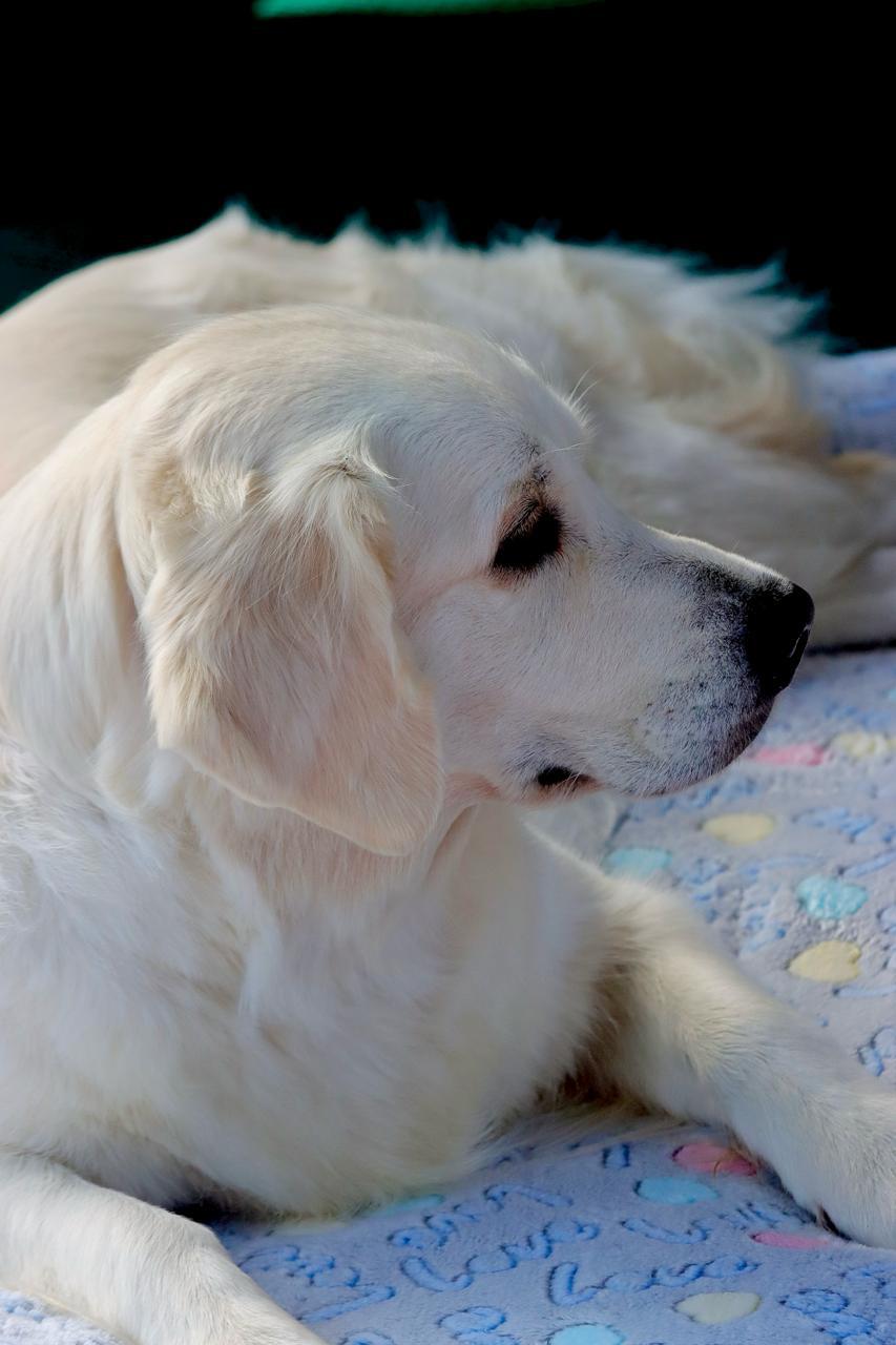 56ab39da-ccfa-480b-8592-8c8ae028a6ca